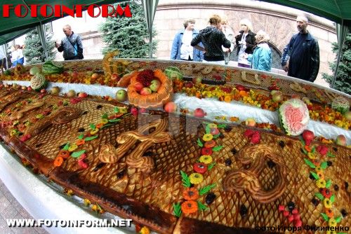 В Кировограде установлен новый рекорд Украины (фото)